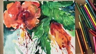 Hibiscus Variation. Drawing and painting. (English)
