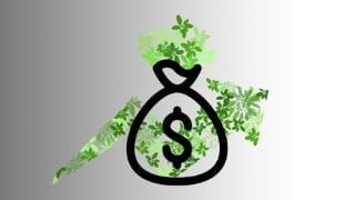 How Sustainability is Changing The Financial Sector