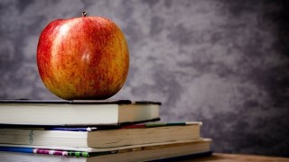 How to Analyse Prose Literature: Short Course