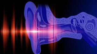 How to become a Hearing Instrument Specialist (HIS)
