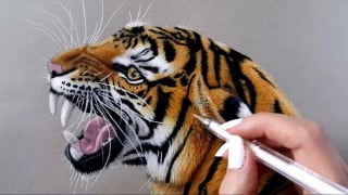 How to Draw a Tiger