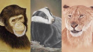 How To Draw Animals for Beginners - Volume 2