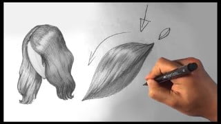 How to Draw Hair for Beginners - Figure Drawing Anatomy