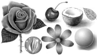 How to Draw with Photorealism - Basics & Practice