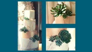 How to Make 4 Types of Sugar Succulent