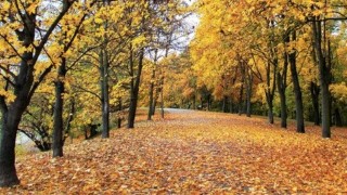 How to Memorise the Music You Play