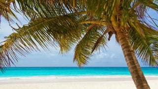 How To Retire Early in 6 Easy Steps