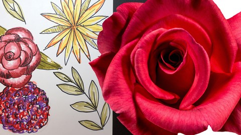 How To Sketch Like An Artist