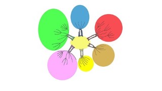How to Use Mind Maps to Improve Your Productivity