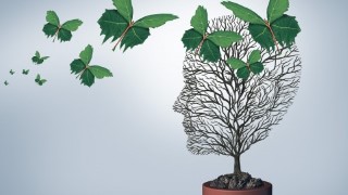 Influencing Without Authority Using Emotional Intelligence