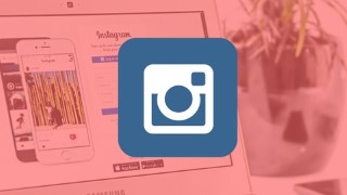 Instagram Marketing Crash Course for Entrepreneurs