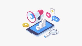 Instagram Marketing Domination: Boost Leads, Sales & Profits