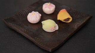 Intensive Wagashi and Mochi Making Course