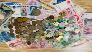 International Trade and Economics (full University Course)