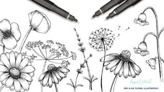 Intro to Floral Illustration : How to Draw Wildflowers
