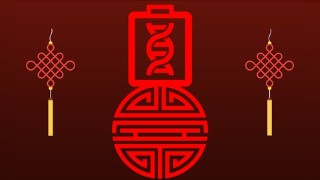 Intro to the Art of Destiny Analysis in Chinese Metaphysics