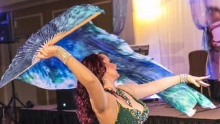 Introduction to Fan Veil