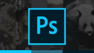 Introduction to Photoshop | Beginner to Master