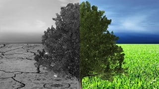 ISO 14001:2015 - Environmental Management Systems (EMS)