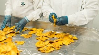 ISO 22000:2018 Food Safety Management Systems (FSMS)