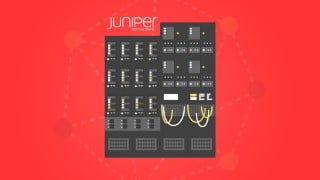 Juniper JNCIA OSPF