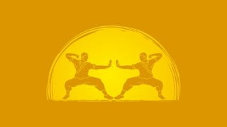 Kung Fu Shaolin Student Level 2 - Part 2