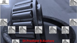 Learn All About Rolling Contact Bearings and its Selection