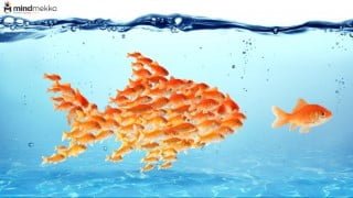 Learn How to Build a Big & Loyal Email List with These List Building Techniques