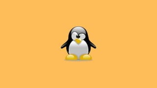Learn Ubuntu Fast: Learn, Practice, and Advance your Career