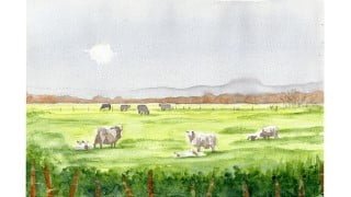 Live watercolor demo Learn how to paint my Spring lambs
