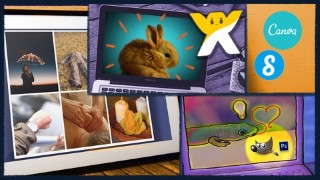 Make Quick & Easy Websites, Social Media Graphics & Video