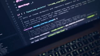 Make your own official WordPress plugins