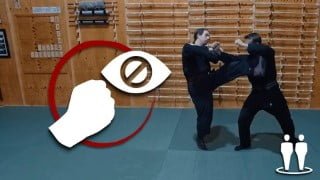 Martial Arts - Ninjutsu - Secret Fighting Framework