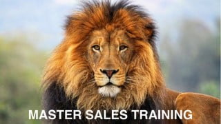 Master Sales Training