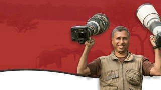 Masterclass: Ultimate Field Guide to Wildlife Photography