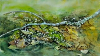Mastering Glazing Techniques in Watercolor
