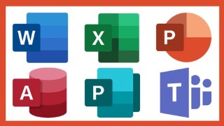 Microsoft Office 365 | Ultimate Bootcamp 2023