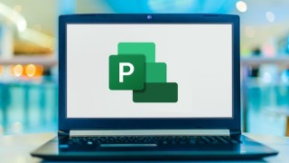 Microsoft Project: Get Up & Running Quickly