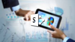 Microsoft SharePoint 2013 Foundation and Server 2013 Bundle