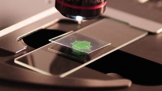 Mobile Penetration Testing - Android (2021 with inbult tool)