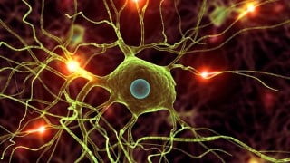 Modern Deep Learning in Python: Learn to Execute ML with GPU on AWS