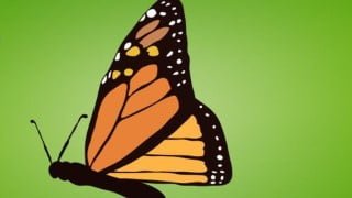 Monarch Butterfly 2.0
