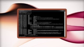 MS-DOS Complete Course: from Zero to Professional!