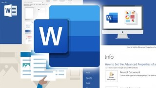 MS WORD Essentials: The Complete Course (2020 updated)