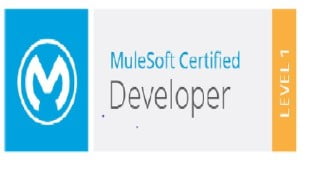 MuleSoft Certified Developer - Level1 (Mule 4) Practice Test