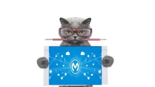MuleSoft Developer Level 1 (Mule 4) Certification 2021