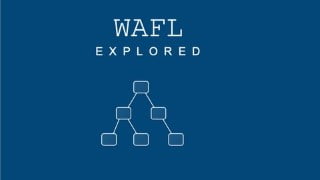 Netapp ONTAP WAFL explored