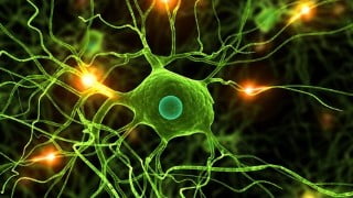 Neural Networks for Classification: Data Science in Python