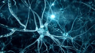 Neuroscience Marketing & Persuasion [OUT NOW]