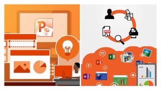 Office 365, Word, Excel, PowerPoint & Quickbooks: 5 Courses